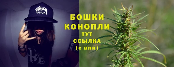 не бодяженный Гусев