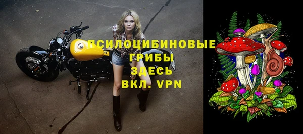 наркотики Гусь-Хрустальный